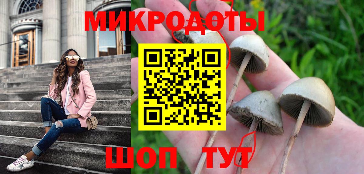 Галлюциногенные грибы мицелий  Вход с VPN  Гулькевичи 