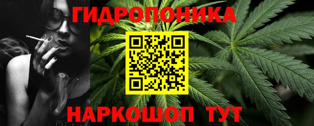 Гулькевичи  Бошки Шишки планчик  Бошки марихуана план  Вход с VPN  Шишки марихуана White Widow  Канабис ГИДРОПОН 